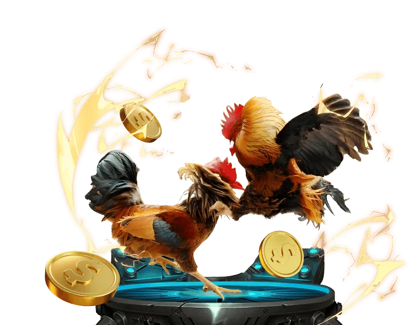 Cá cược trực tiếp tf88